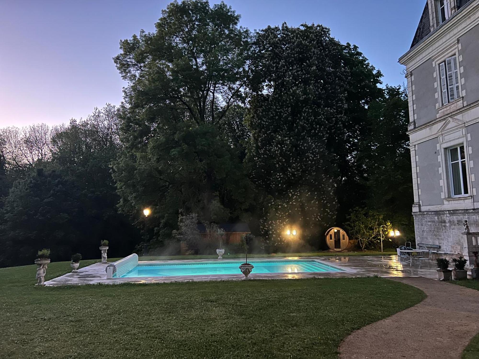 Chateau De Saint-Bohaire Buitenkant foto
