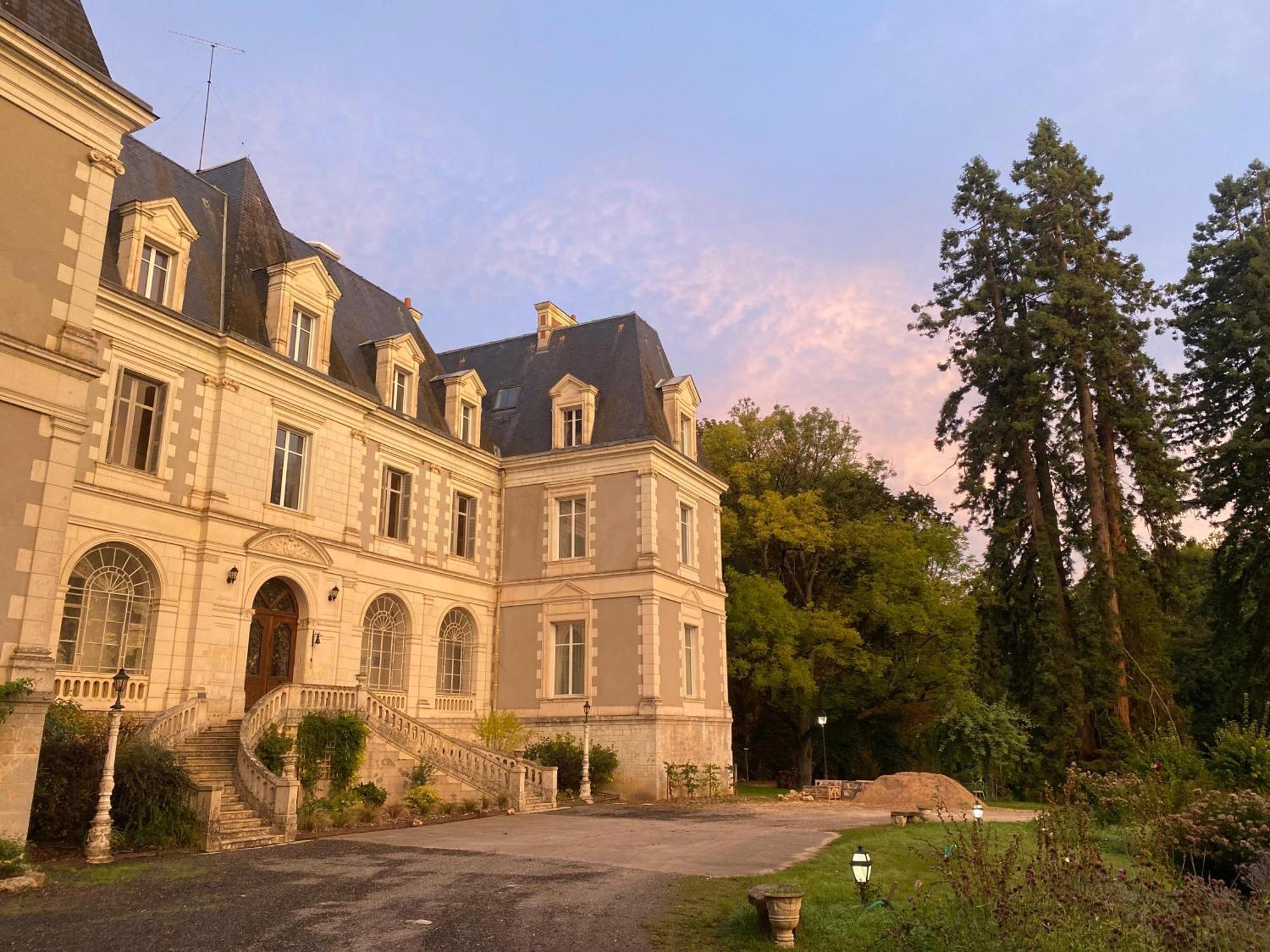 Chateau De Saint-Bohaire Buitenkant foto