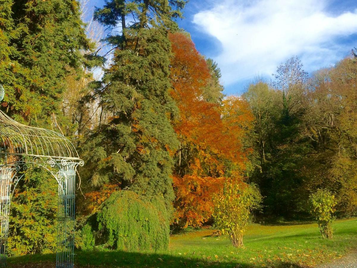 Chateau De Saint-Bohaire Buitenkant foto